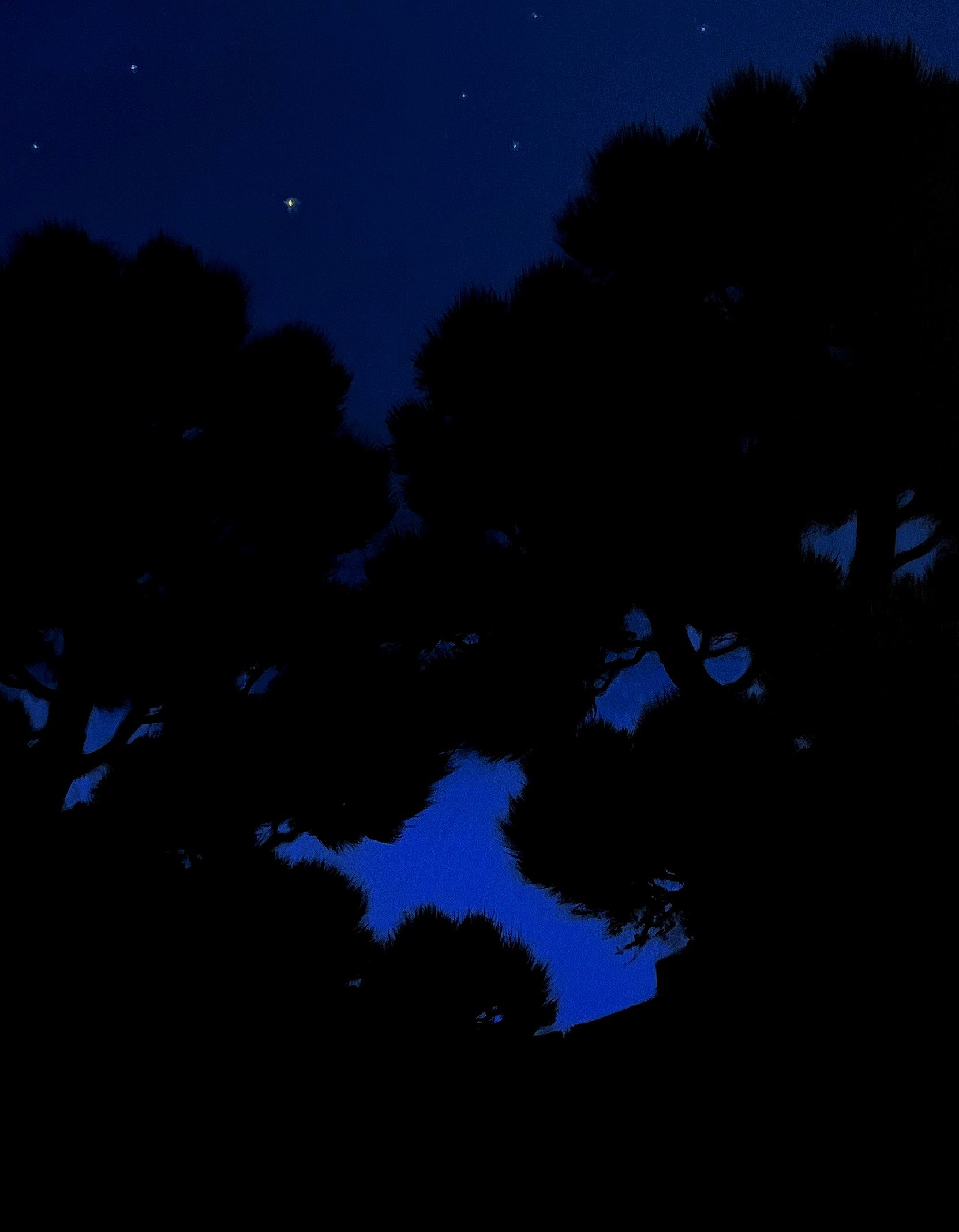 Pintura de paisaje nocturno de Jorge Estévez — Serie Nocturnos