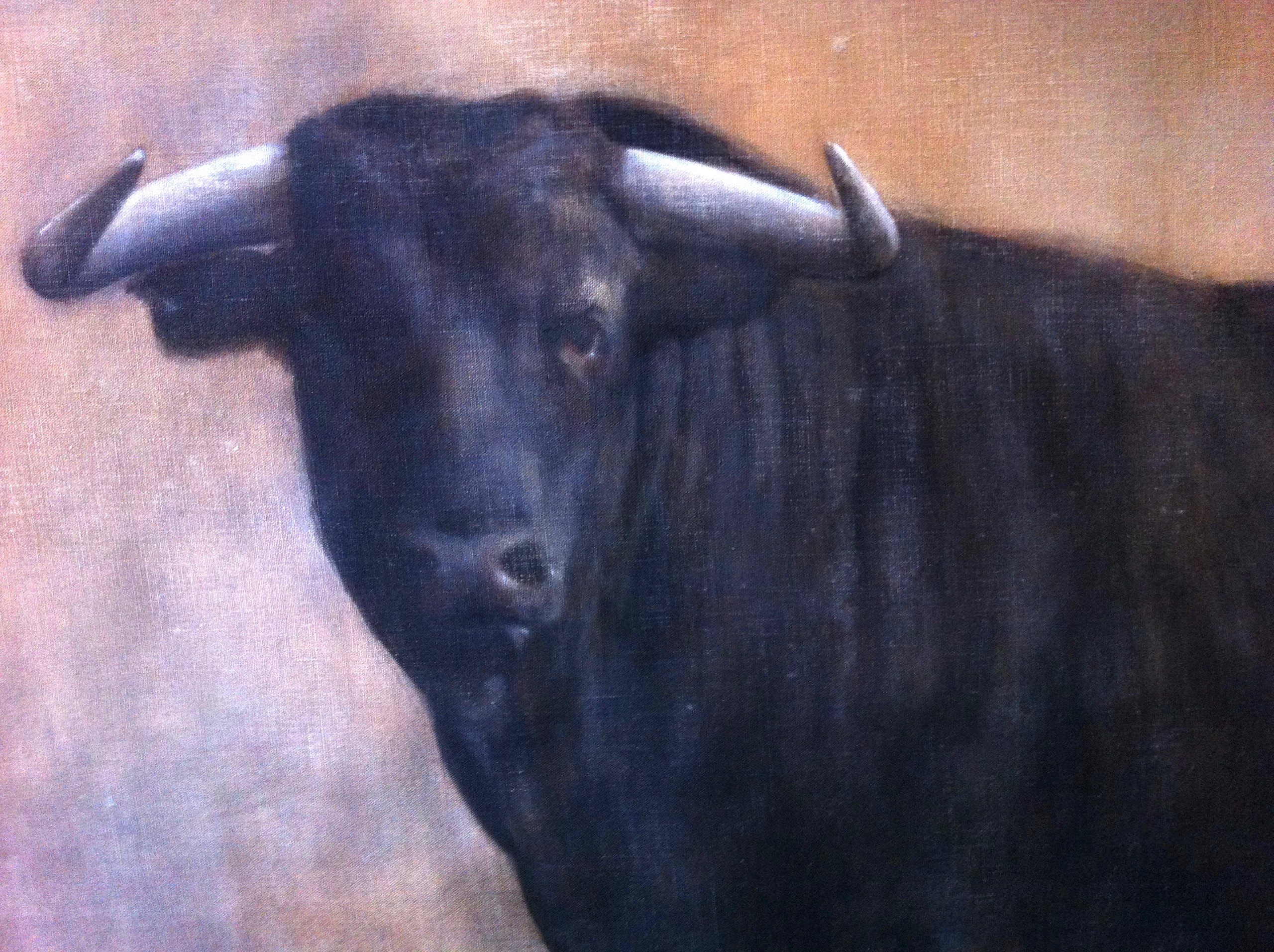 Pintura de animales de Jorge Estévez