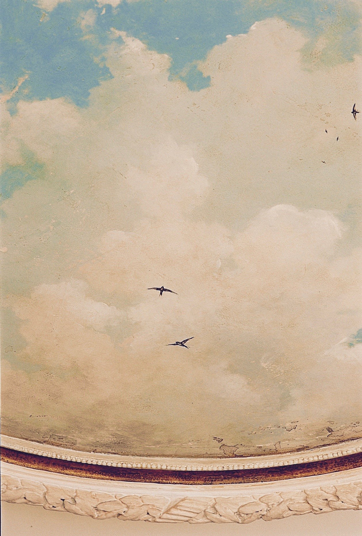Pintura de animales de Jorge Estévez