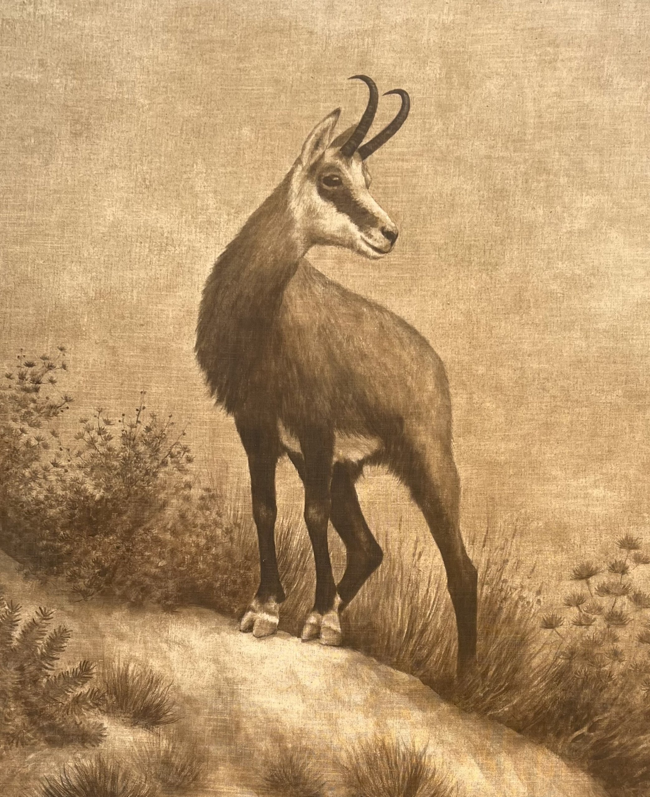Pintura de animales de Jorge Estévez