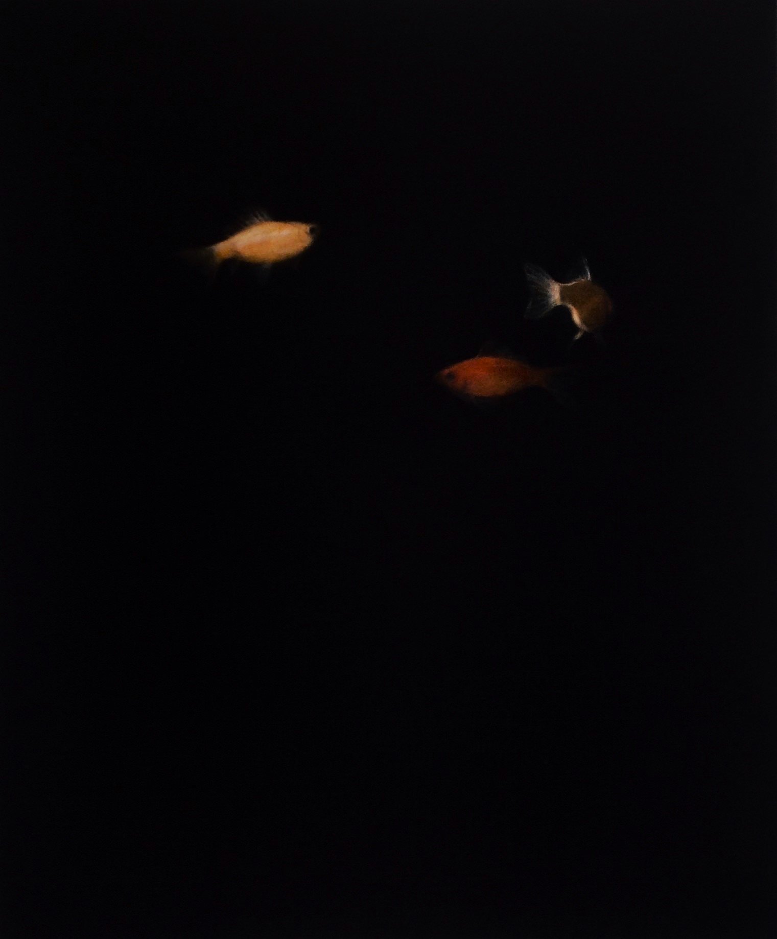 Pintura de luces y sombras de Jorge Estévez